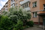 «‎Если поселишься тут — не захочешь переезжать». Как живется в хрущевках на Золотой Горке