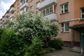 «‎Если поселишься тут — не захочешь переезжать». Как живется в хрущевках на Золотой Горке