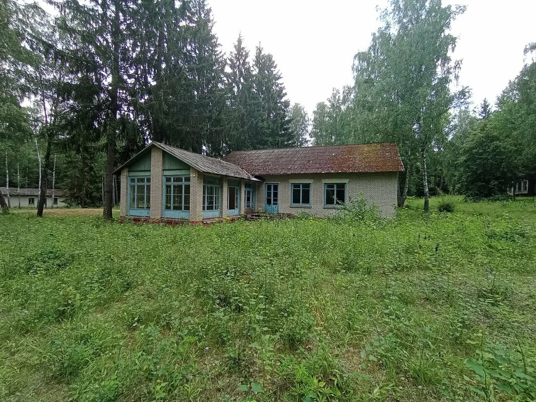 Известный бизнесмен хочет построить отель на месте старого пионерлагеря под Минском. Узнали подробности