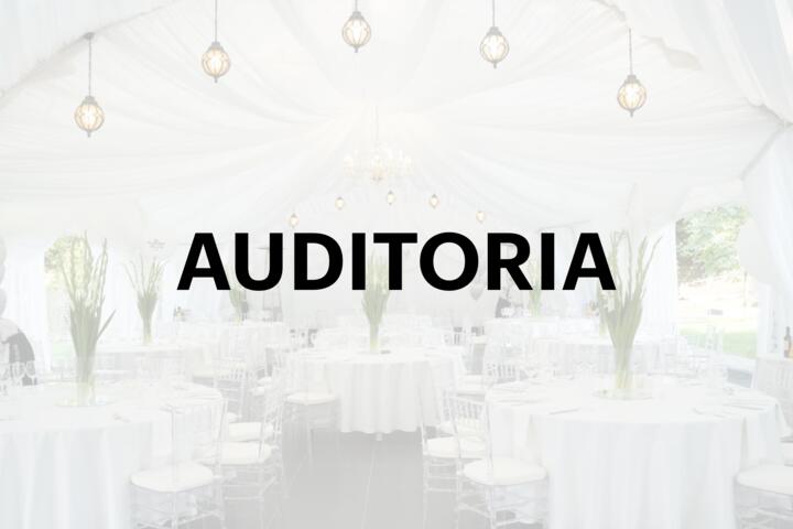 Ивент-пространство AUDITORIA - место для твоих идей!