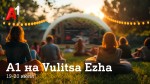 Летний уикенд с А1: кино, инклюзивная кофейня, игры и фотозона с Супер Ежом на фестивале Vulitsa Ezha