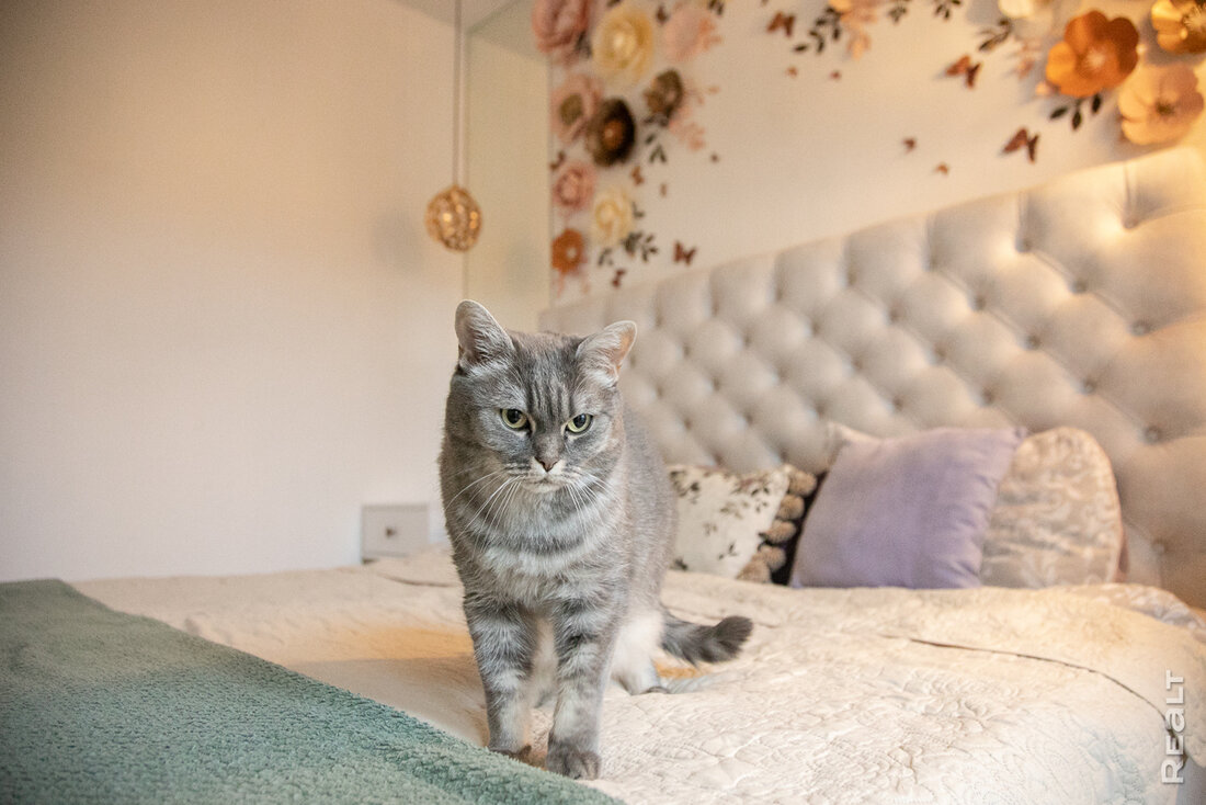 Важнее не то, что на виду, а то, что в стенах. Дизайнер показала свою квартиру в Новой Боровой