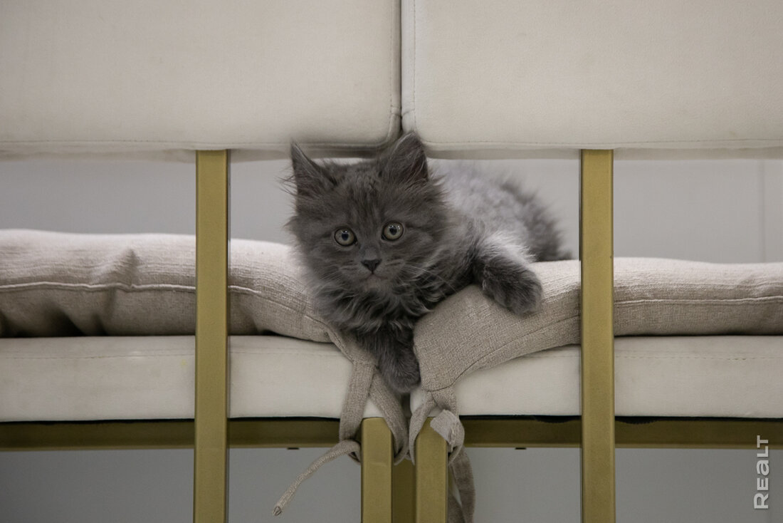 Важнее не то, что на виду, а то, что в стенах. Дизайнер показала свою квартиру в Новой Боровой