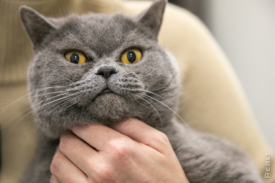 Важнее не то, что на виду, а то, что в стенах. Дизайнер показала свою квартиру в Новой Боровой