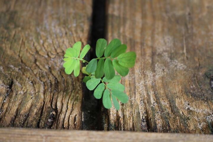 ФОТО: «Я думаю, добродетель измеряет то, что мы создали, воплотили в жизнь и кого согрели». Фильмы, которые мотивируют не сдаваться