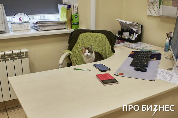 ФОТО: Стоматологический туризм в Беларуси, ветклиника с дружеским подходом и сервис для экономии на стройке — новости за неделю