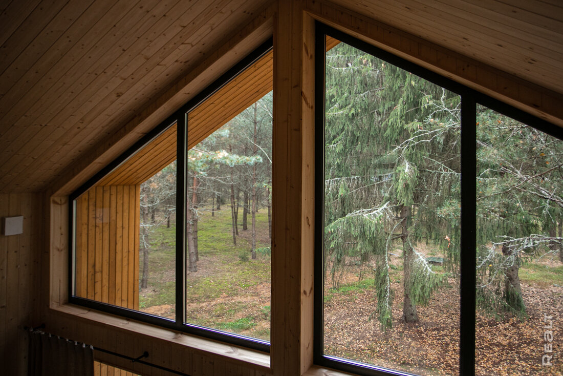 Вода в утеплителе, мыши и плесень под пленкой. На что смотреть при покупке каркасного дома