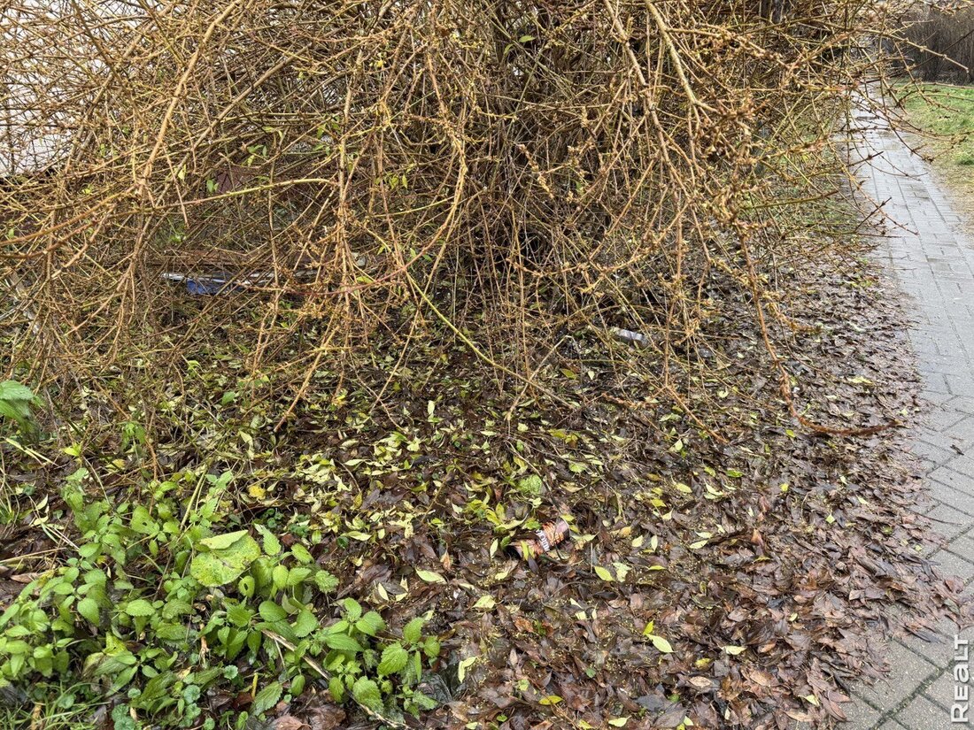 «Высотки закрывают половину неба». Как живется в хрущевках напротив Минск-Мира