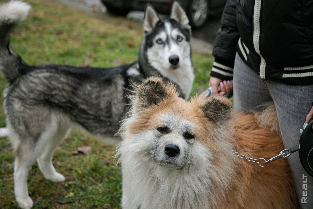 «Высотки закрывают половину неба». Как живется в хрущевках напротив Минск-Мира