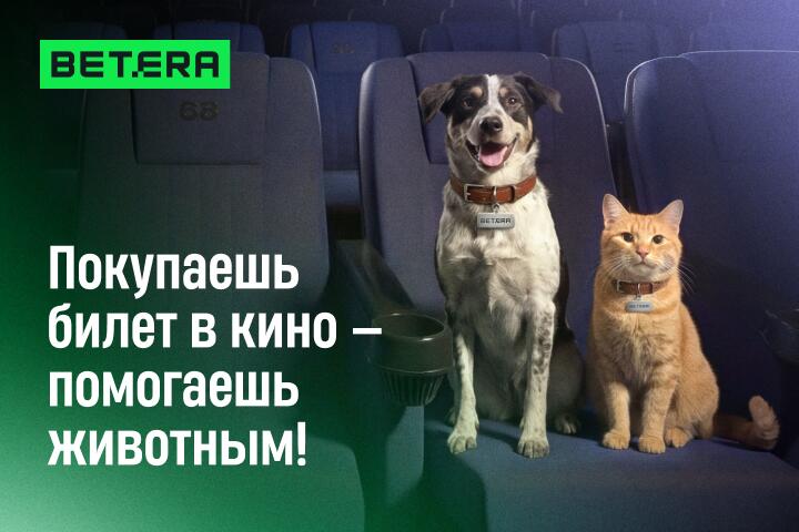 Сходил в кино - помог бездомным животным. Как Betera превратила просмотры фильмов в благотворительность?