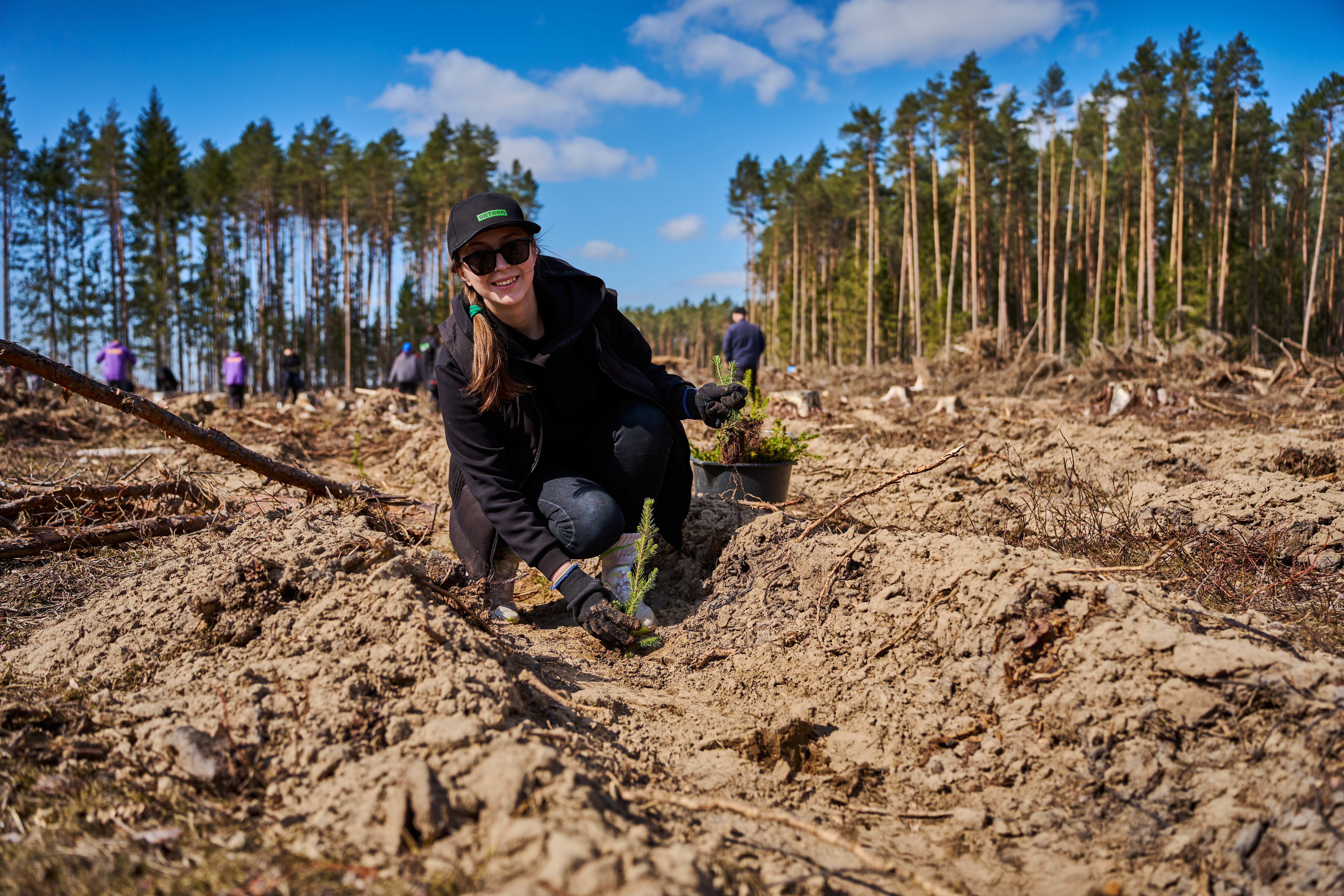 Betera Green Week: восстановление леса в Беларуси и конвертация лайков в деревья. Кейс экологического проекта
