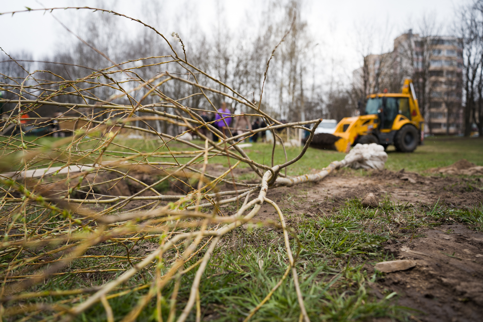 Betera Green Week: восстановление леса в Беларуси и конвертация лайков в деревья. Кейс экологического проекта
