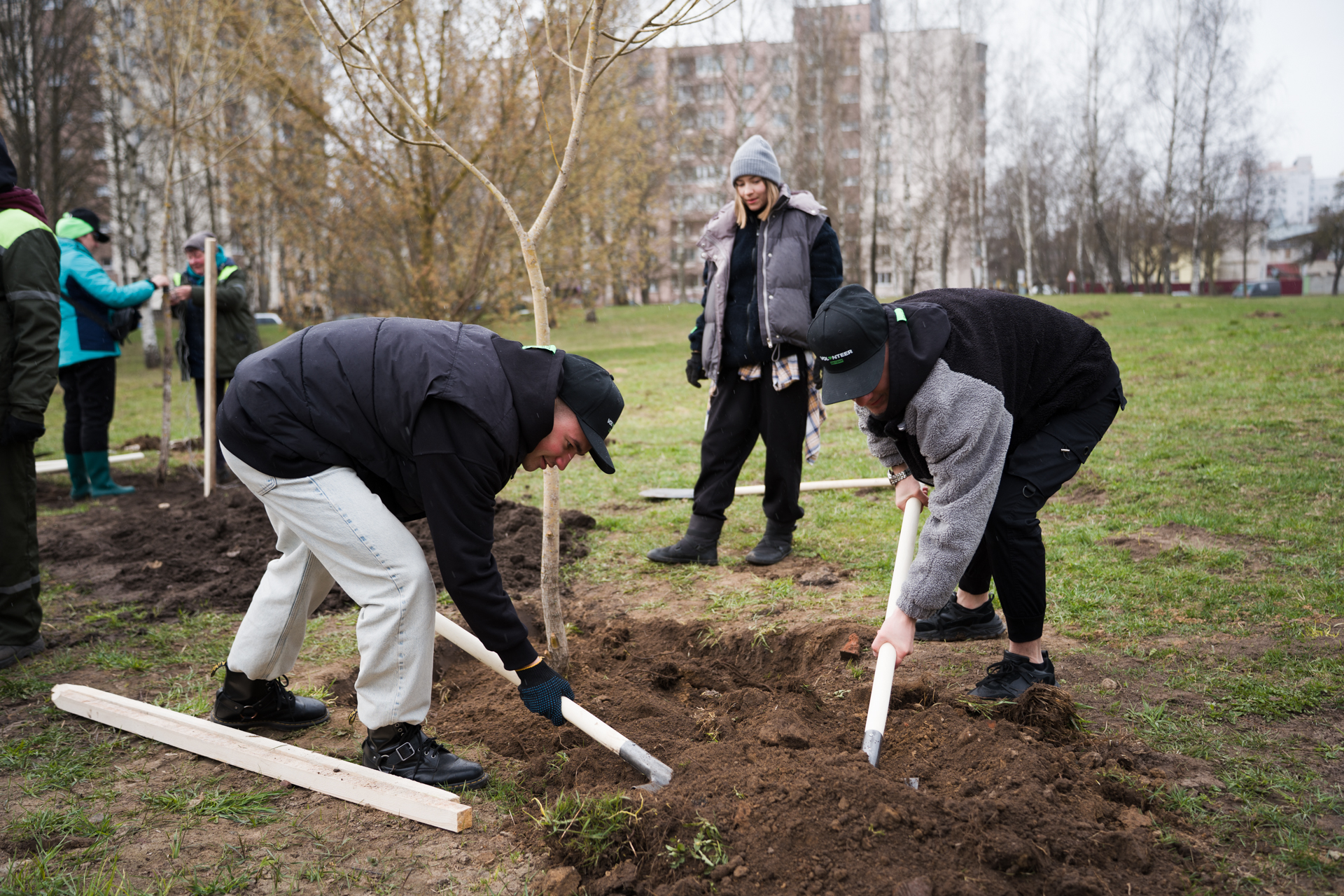 Betera Green Week: восстановление леса в Беларуси и конвертация лайков в деревья. Кейс экологического проекта