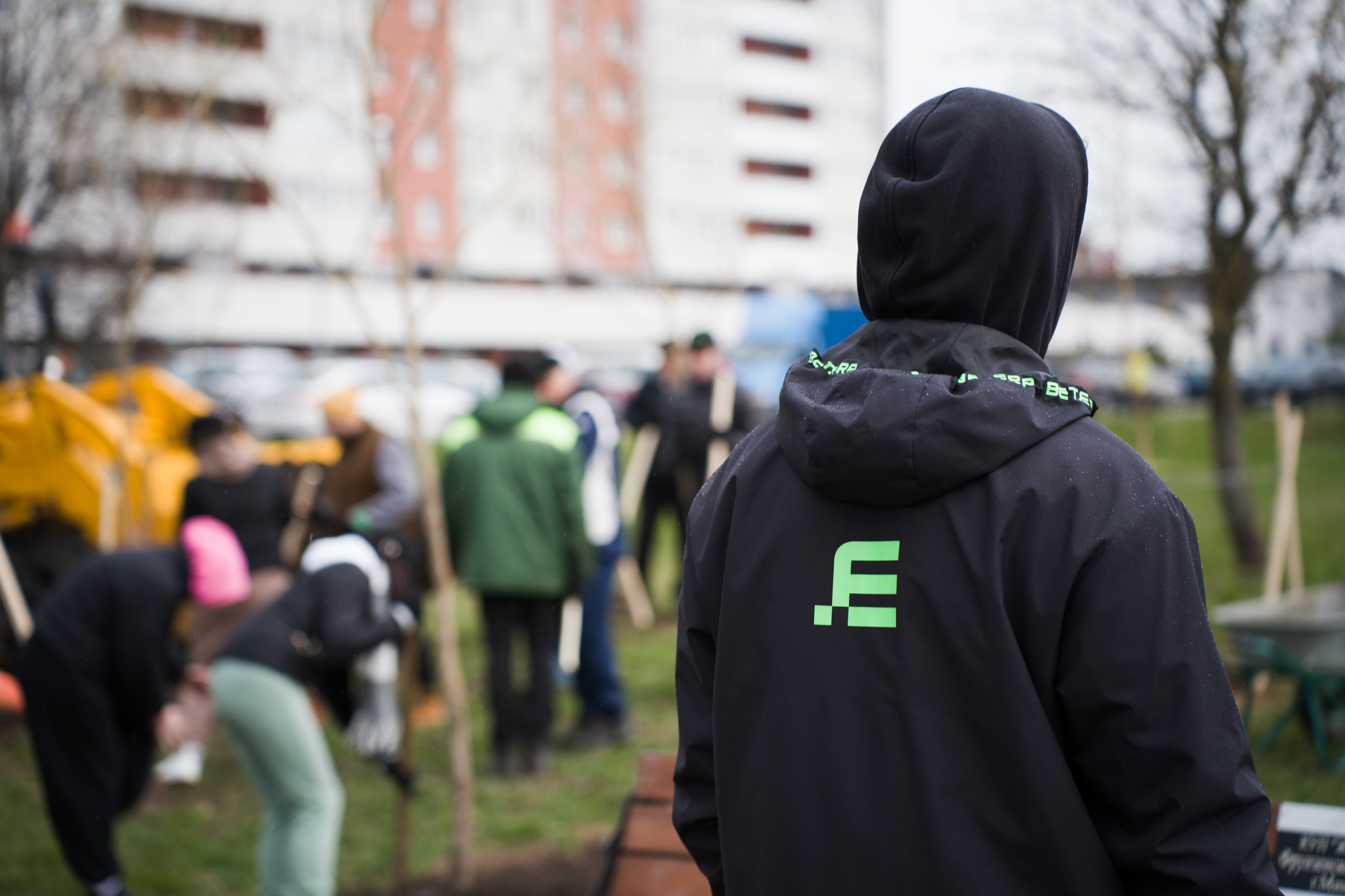 Betera Green Week: восстановление леса в Беларуси и конвертация лайков в деревья. Кейс экологического проекта