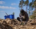 Betera Green Week: восстановление леса в Беларуси и конвертация лайков в деревья. Кейс экологического проекта