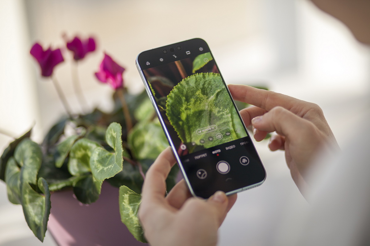 Huawei Mate 80 Pro: флагманский смартфон с камерой для реалистичной съемки