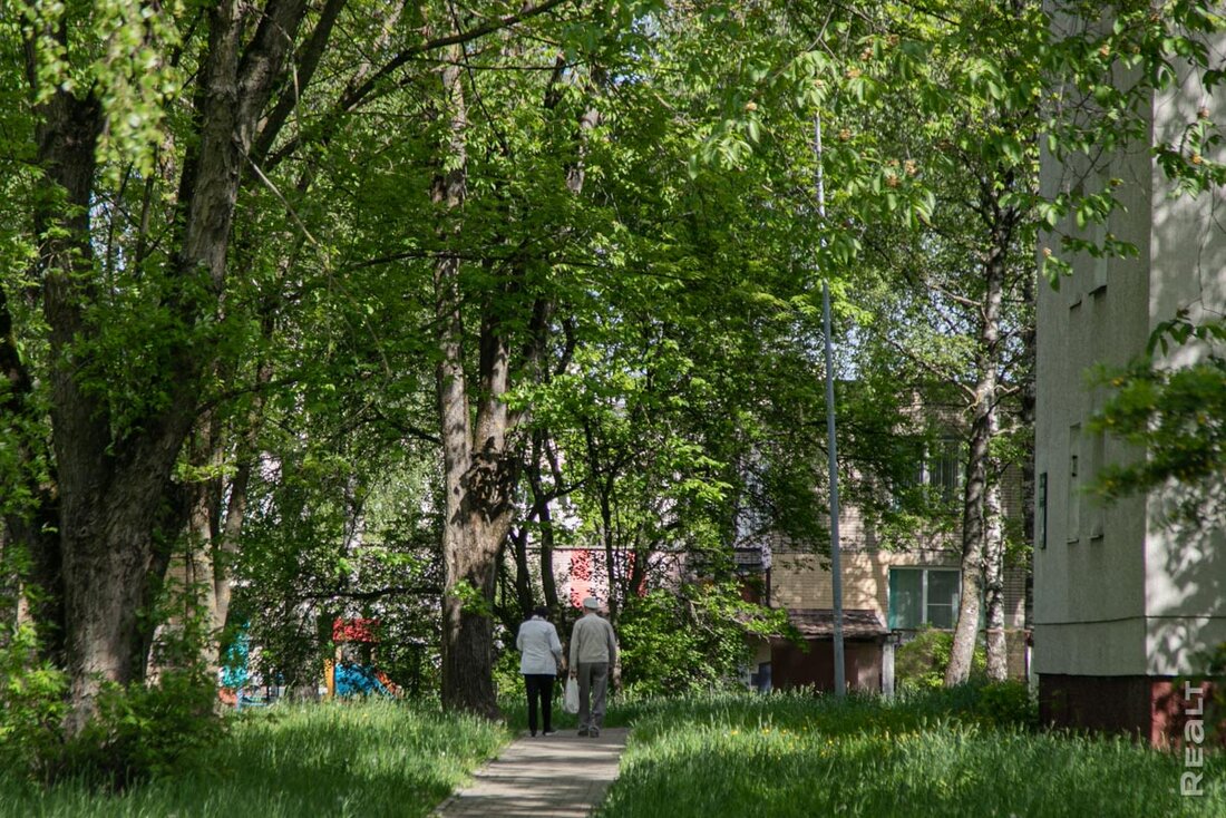 «Место — прекрасное». Как живется в недорогих хрущевках возле Чижовского водохранилища