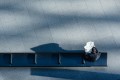 Невсемогущий AI, бум электроавто в Беларуси и заводы как учебники по бизнесу