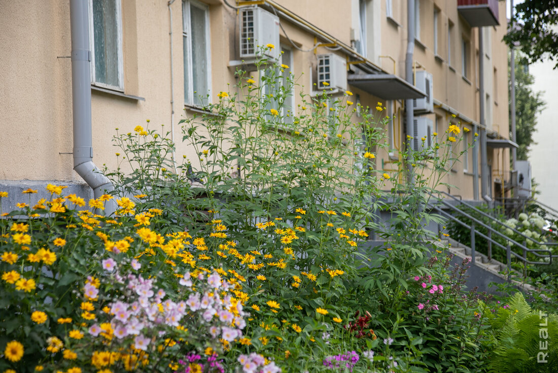 «Ни за что не перееду отсюда». Как живется в панельках напротив Минск-Мира