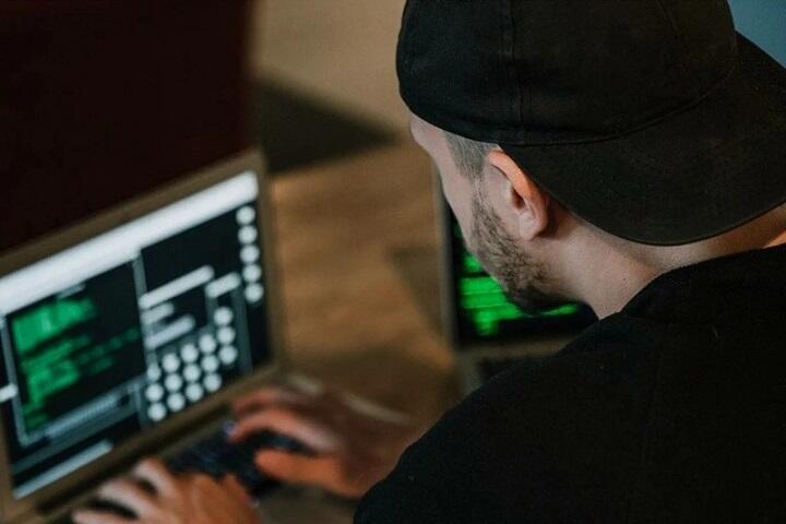 Новая точка роста для бизнеса: почему стоит обратить внимание на Витебск